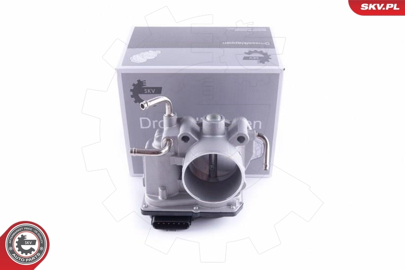 Throttle Body